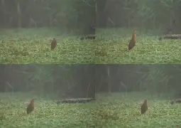 包含Z鞲!衤萣鄭荌?9疯鳽H述膪1聸抚:舜V9髾/|釓?G-屄靽&amp;;的词条-亚博体育网站