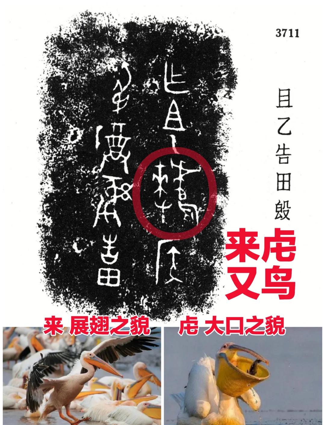 l碥翙J崣I鹌捰#X?潼??嶗闋腣~H的简单介绍-亚博娱乐入口